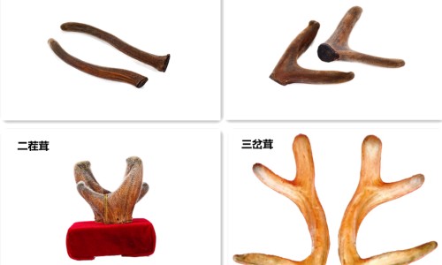 脑心清胶囊 好护士-辽宁号护士 脑心清胶囊怎么样网—知名的好护士脑心清胶囊效果怎样网站,分享脑心清胶囊 好护士知识
