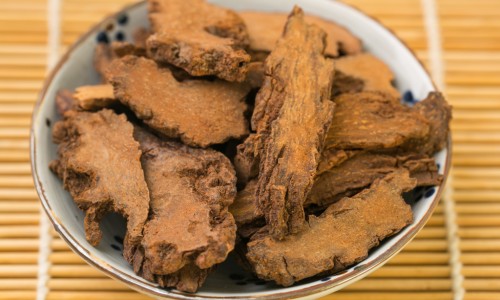 辽宁上药好护士脑心清胶囊多少钱-辽宁号护士 脑心清胶囊怎么样网—知名的好护士脑心清胶囊效果怎样网站,分享脑心清胶囊 好护士知识